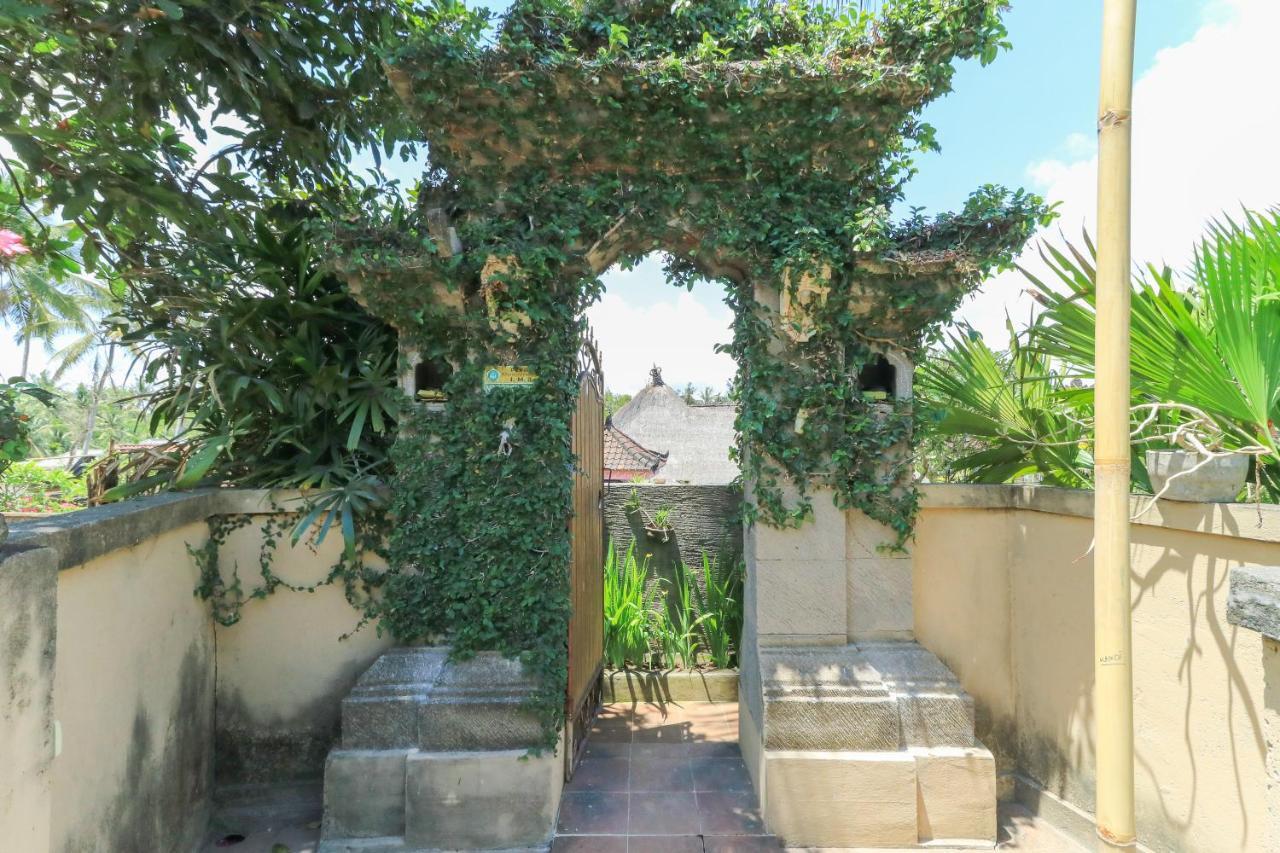 Ubud Chez Nyoman מראה חיצוני תמונה
